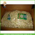 2015 new crop peeled garlic ,dehydrated garlic,garlic cloves